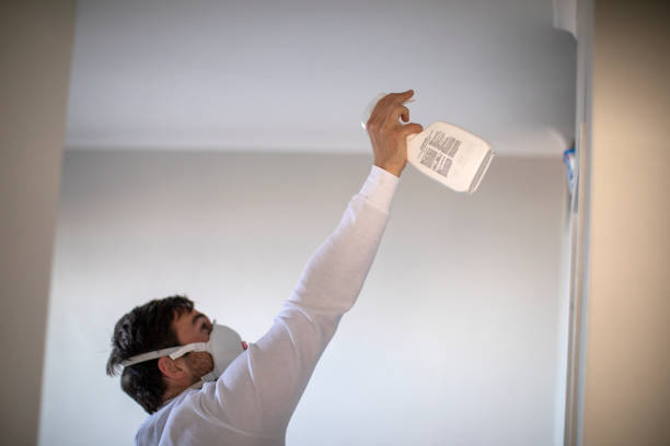 Best Mold Inspection  in Taylorvle, IL